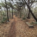 바다마을 | [충남,등산] 보령 생앵산 산책! 신흑 마을주차장-정상! 대천앞바다 보이긴 하는데, 시원하진 않음! 후기!