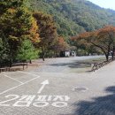 금산산림문화타운캠핑장 이미지