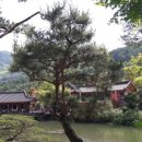 누리 번역 행정사사무소 이미지