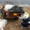 청일파출소 이미지