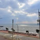 소라횟집 | 제부도 조개구이 소라횟집 네이버 예약 후 방문 후기!