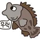 초밥파는횟집