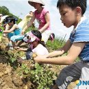 김상경 농장 뉴시스
