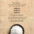 The조은태권도 이미지