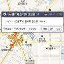 한우한마리 이미지