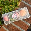 동구밖과수원길 | 모찌 1호점 딸기모찌 청포도모찌 귤모찌 내돈내산 후기 (ft. 동구밖과수원길 과일모찌 과일찹쌀떡 맛집)