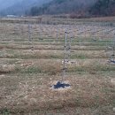 계수농장 이미지