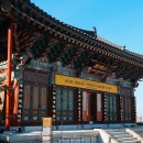 달마사 | 서울 절 추천 흑석동 달마사 서울사찰 가볼만한곳