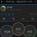 모꼬 Daum카페