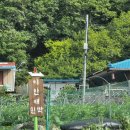 이안애팬션 | [삼척] 힐링 가득한 숙소 추천,이안애민박