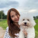 (주)노던크로스 MBC연예
