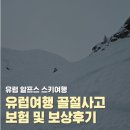 한국보조기 | 유럽스키여행 중 골절 사고 한국귀국치료 및 여행자 보험금 청구 후기