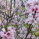 내가 직접 경험한 것도 진실이 아닐 수 있다. 이미지