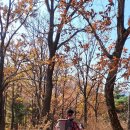 군민회관1 이미지