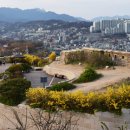 뉴창신정비 | 서울 종로 창신동·성북 삼선동 조망 우수 부동산 종합 분석