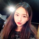데일리영
