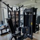 스텔라인핏 이미지