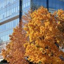 춘천엔젤마트 | 일상_11월의 마무리