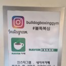 불독복싱 이미지