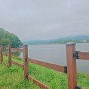 용담호수둘레길관리동 | 🏞️ 처인구 용담 호수 둘레길, 산책로 방문 후기!