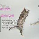 사랑플러스 동물병원 이미지