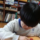 동탄나무로 이미지