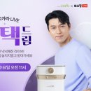 카라라이브 매일일보