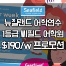 주씨필드