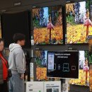 TV·가전서 희비 갈린 삼성·LG…불확실성에 비상경영은 지속 이미지