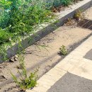 JAVA ④ 객체 지향 프로그래밍 | Java 객체지향 개념 쉽게 설명하기 — 초보자도 한 번에 이해하는 OOP 핵심 정리 ☕