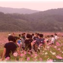 추풍령(서울)휴게소 이미지