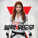 블랙위도우 | 영화: 블랙 위도우 (Black Widow) 정보 출연진 줄거리, 결말,추천 이유,감상평 요약