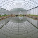 무진양식장 이미지