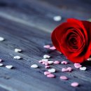 행복한하루 이미지