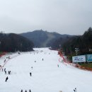 비발디파크 스키월드 이미지