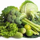 핏걸(방학점) 이미지