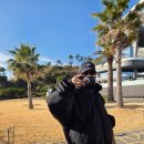 연예인김밥 이미지