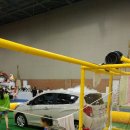 월드세차장 이미지