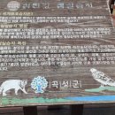 고달리다리 이미지