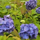 송림공원 주차장 이미지