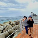 바다정원 이미지