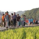 칠원읍공설운동장 이미지