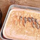 강아지맛집 이미지