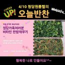 오늘의반찬 이미지