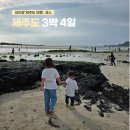 늘소랑목장 | 아이와 제주도 3박 4일 여행코스 총정리 : 2살, 5살 현실 후기