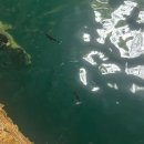 4박5일 칸쿤여행(2) : 핑크라군, 익낄 세노떼, 치첸이사 투어후기