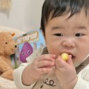 로지오가닉 농장 이미지