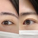 래쉬에프터 | 의정부 애프터래쉬 방문 후기, 의정부속눈썹펌 유지력까지 만족