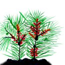 문학과 나의 인생 이미지