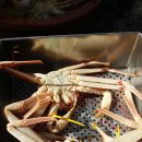 모모식당 이미지